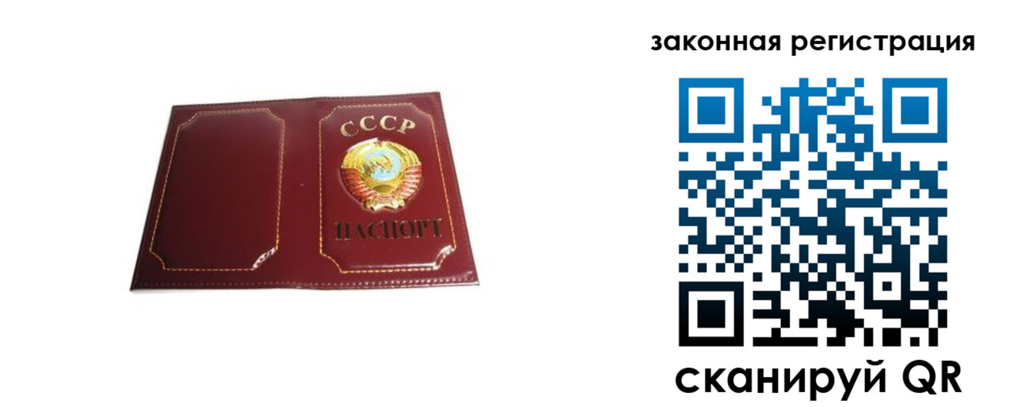 прописка поиск в Кизеле
